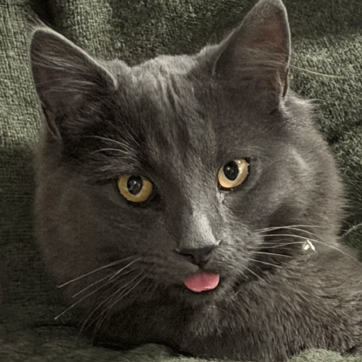 Cats.com